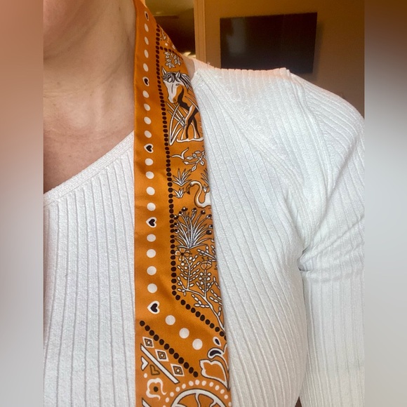 Hermes Rare Collector Scarf Silk Twilly
Entre Ciel Et Mer Bandana Pattern Orange - Picture 12 of 13